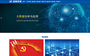 辰智大数据调研公司官网页面效果